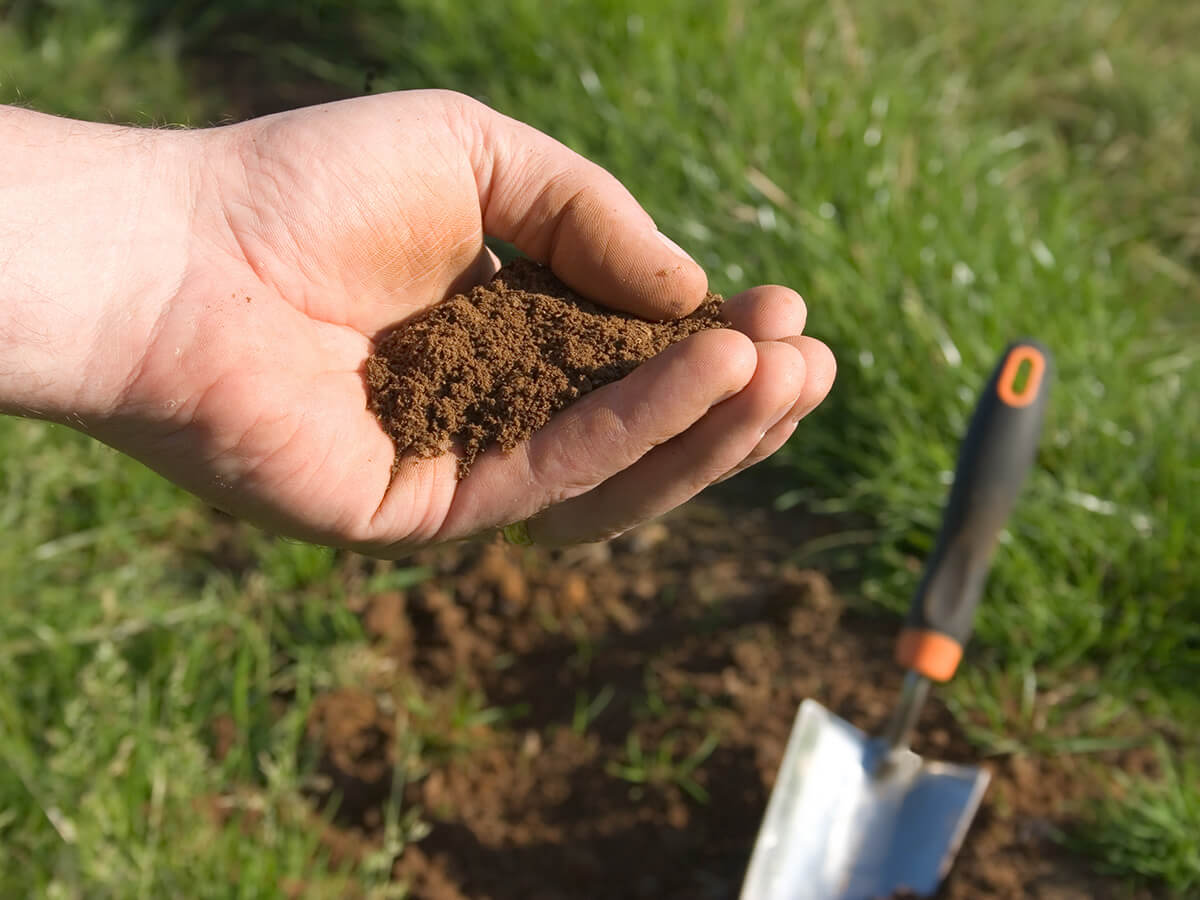 Bio Gemüse anbauen im eigenen Gewächshaus